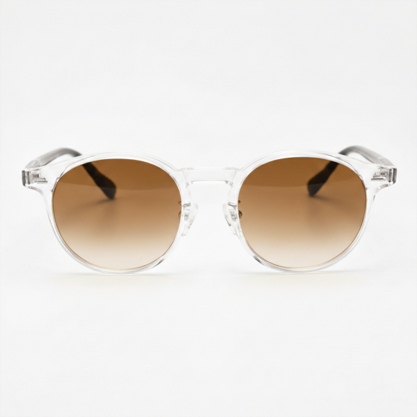 Erin Brown Gradient Lens Sunglasses - Clear Round TR90 Frame