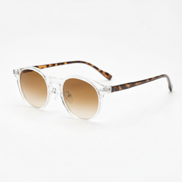 Erin Brown Gradient Lens Sunglasses - Clear Round TR90 Frame